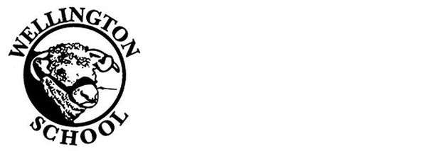Wellington Primary School & Nursery